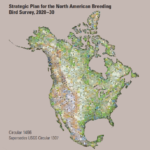 Cover of USGS BBS Strategic Plan, depicting the North American continent